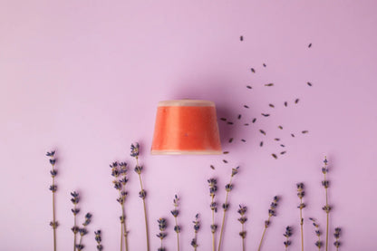 Luscentra lavender vitamin C capsule styled with lavender sprigs.