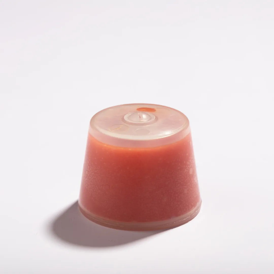 Luscentra wall-mount vitamin C shower capsule on a white background.