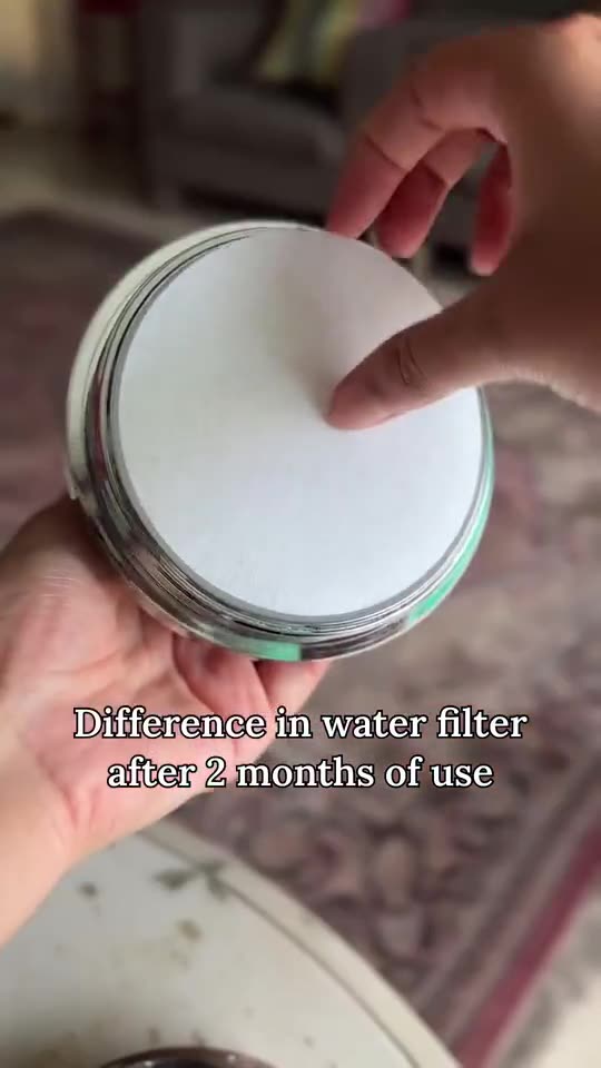 A used shower filter compared with a clean filter after two months